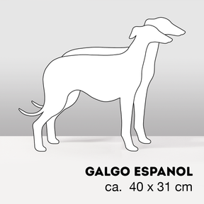 PflanzHunde LIMITED EDITION Cloud