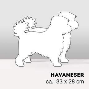 PflanzHunde LIMITED EDITION Cloud