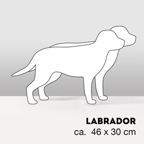 PflanzHunde LIMITED EDITION Cloud