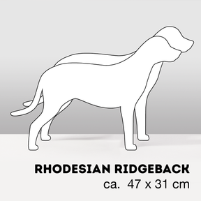 PflanzHunde LIMITED EDITION Cloud