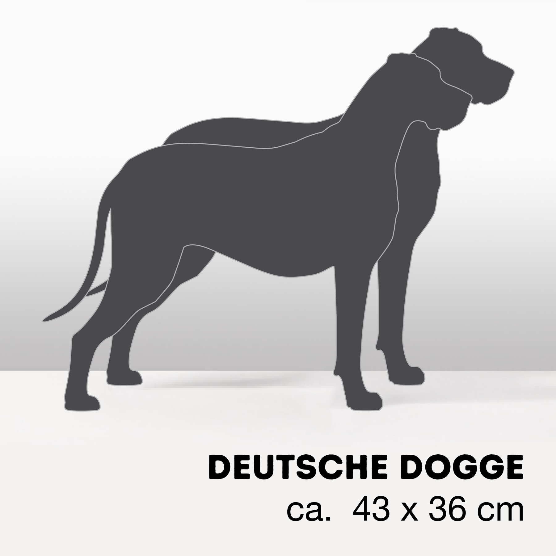 PflanzHunde LIMITED EDITION
