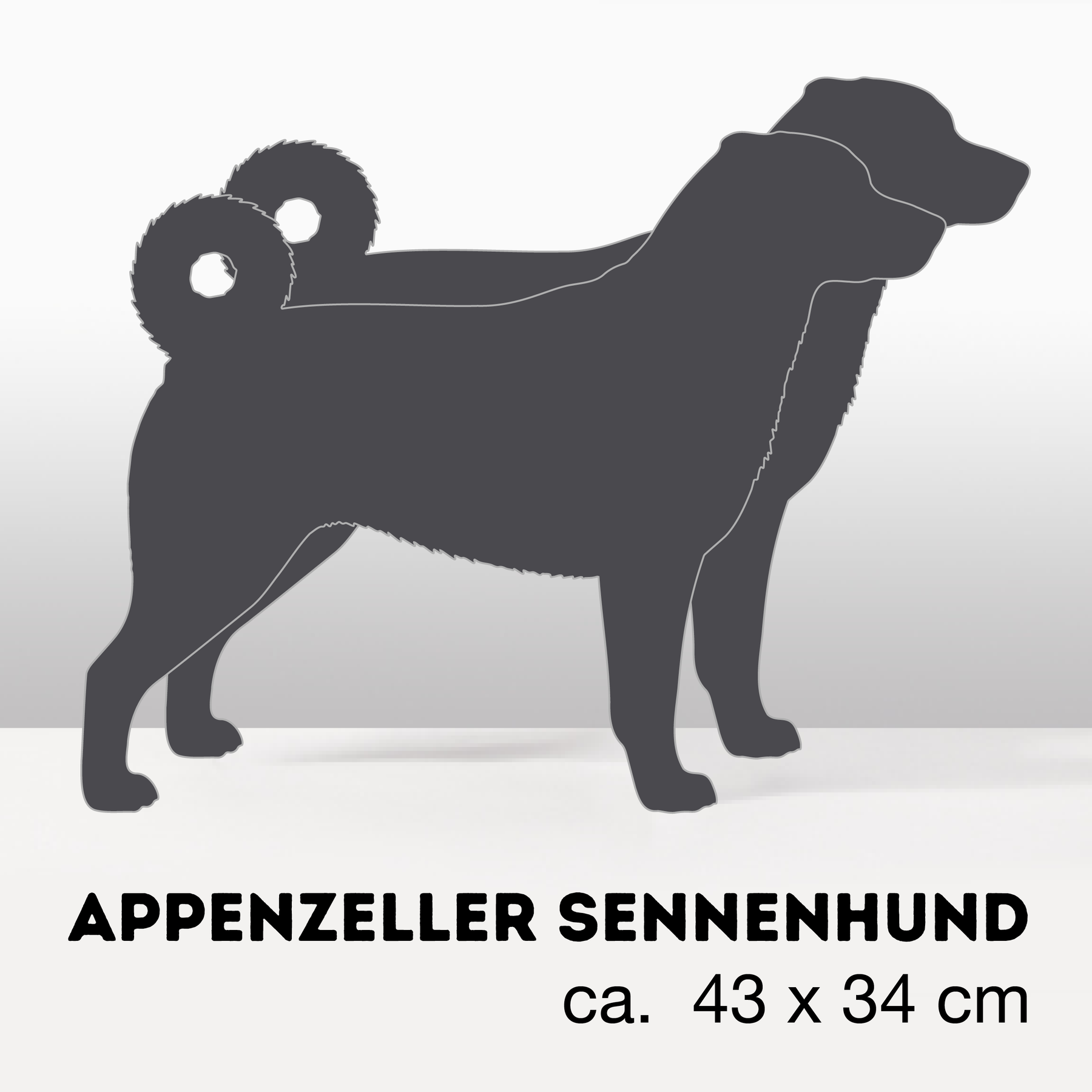 PflanzHunde LIMITED EDITION