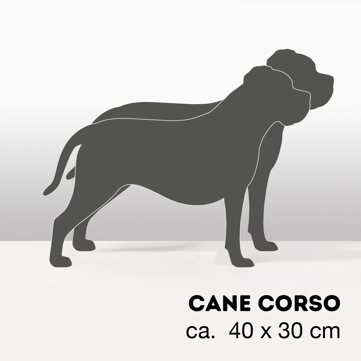 PflanzHunde LIMITED EDITION