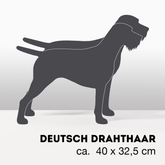 PflanzHunde LIMITED EDITION