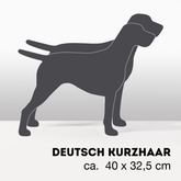 Plant dachshund LIMITED EDITION