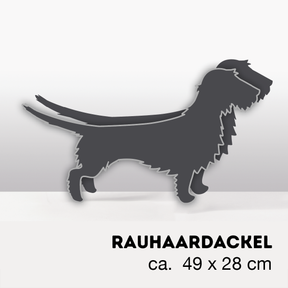 Plant dachshund LIMITED EDITION