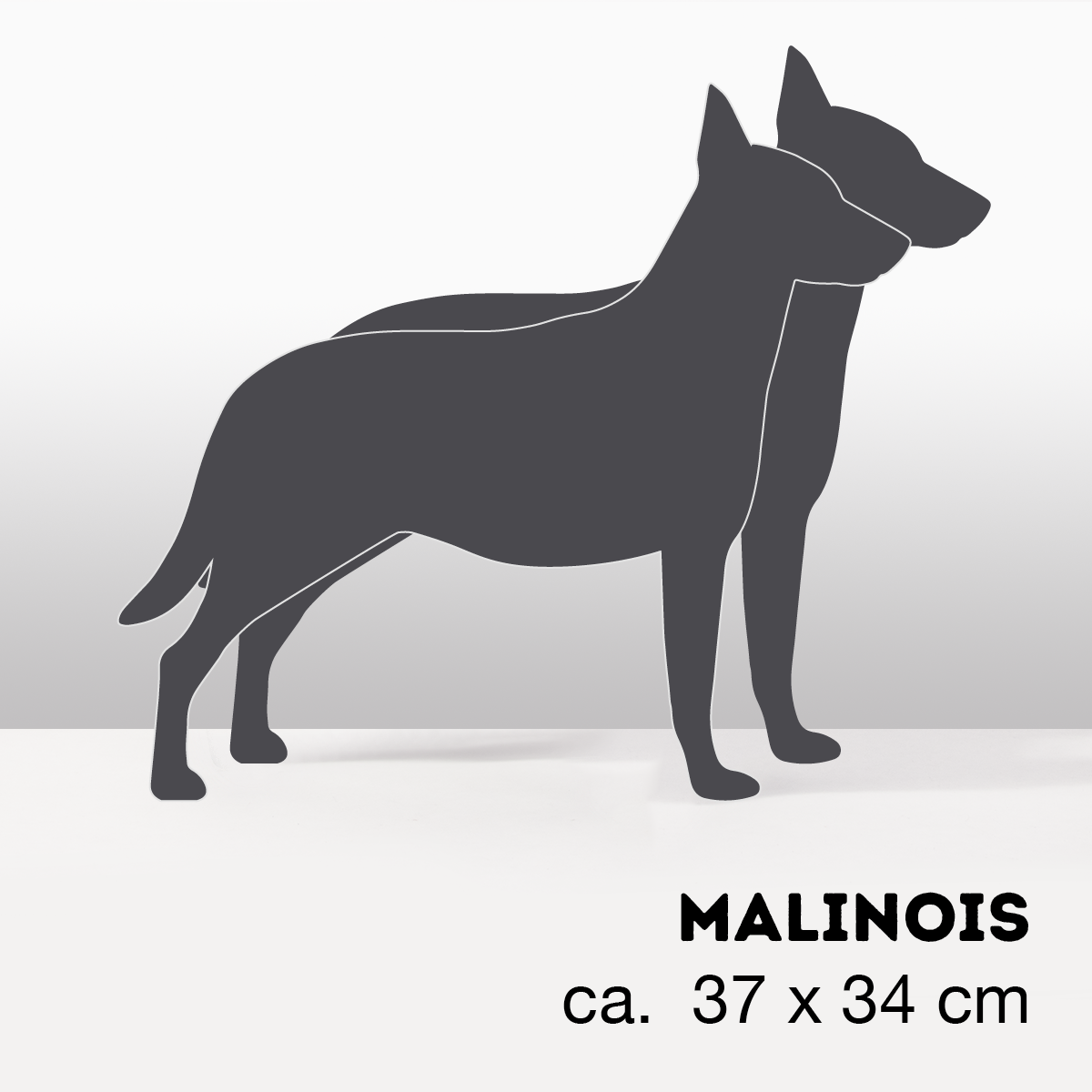 PflanzHunde LIMITED EDITION