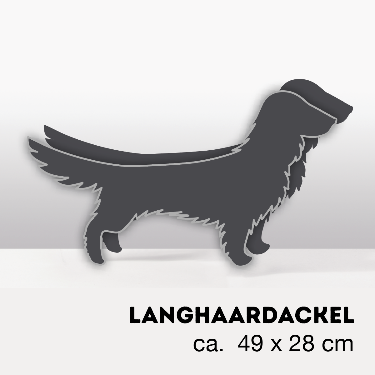 Plant dachshund LIMITED EDITION