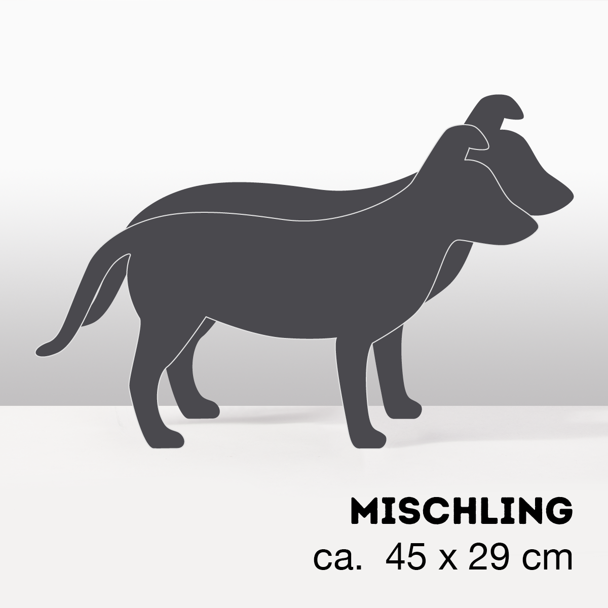 PflanzHunde LIMITED EDITION