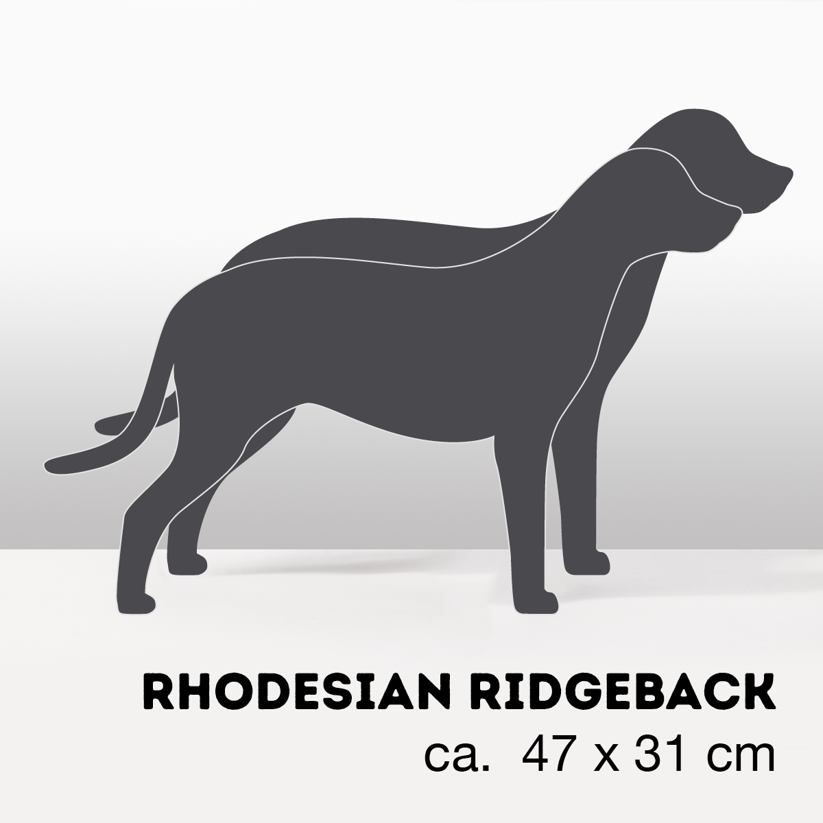 PflanzHunde LIMITED EDITION