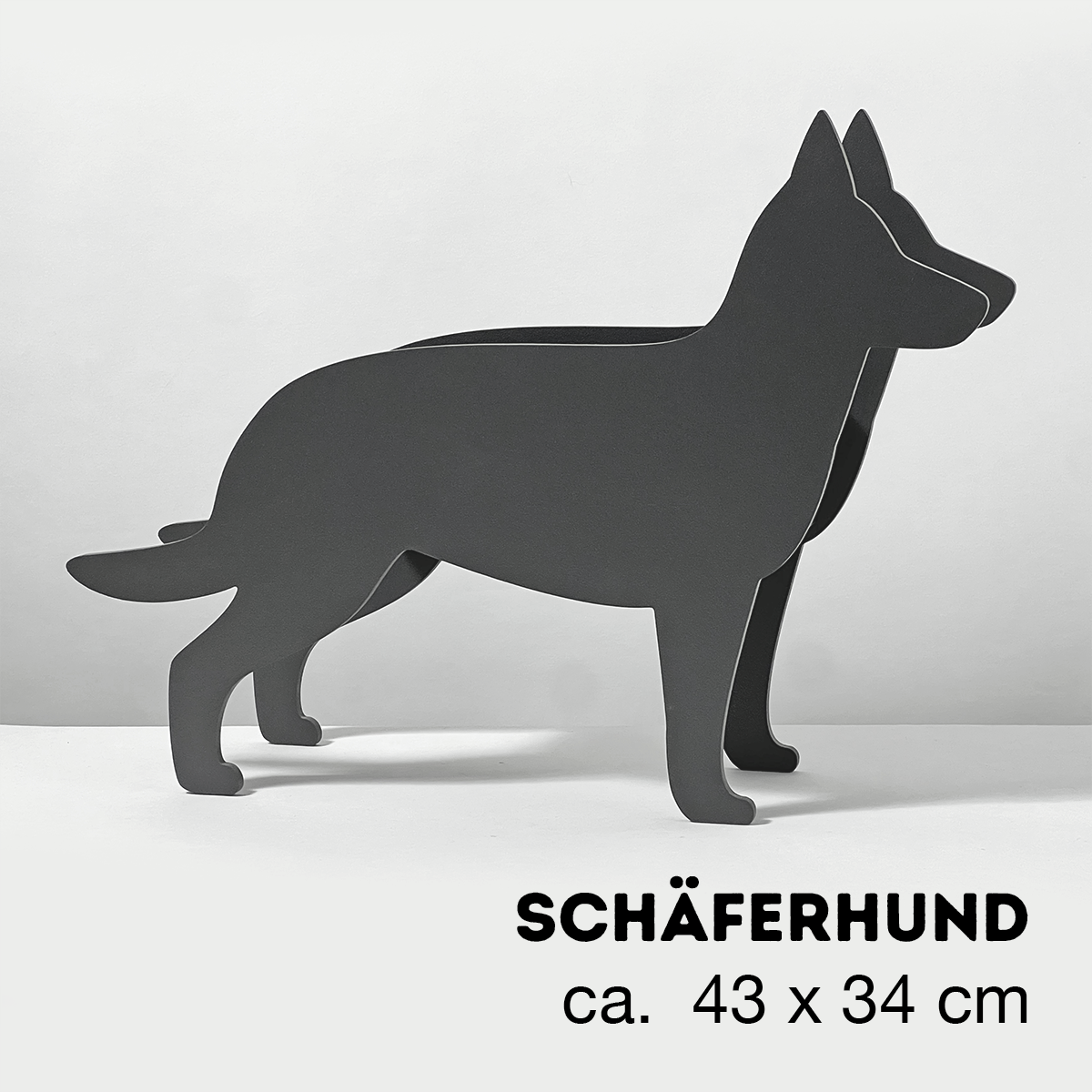 PflanzHunde LIMITED EDITION