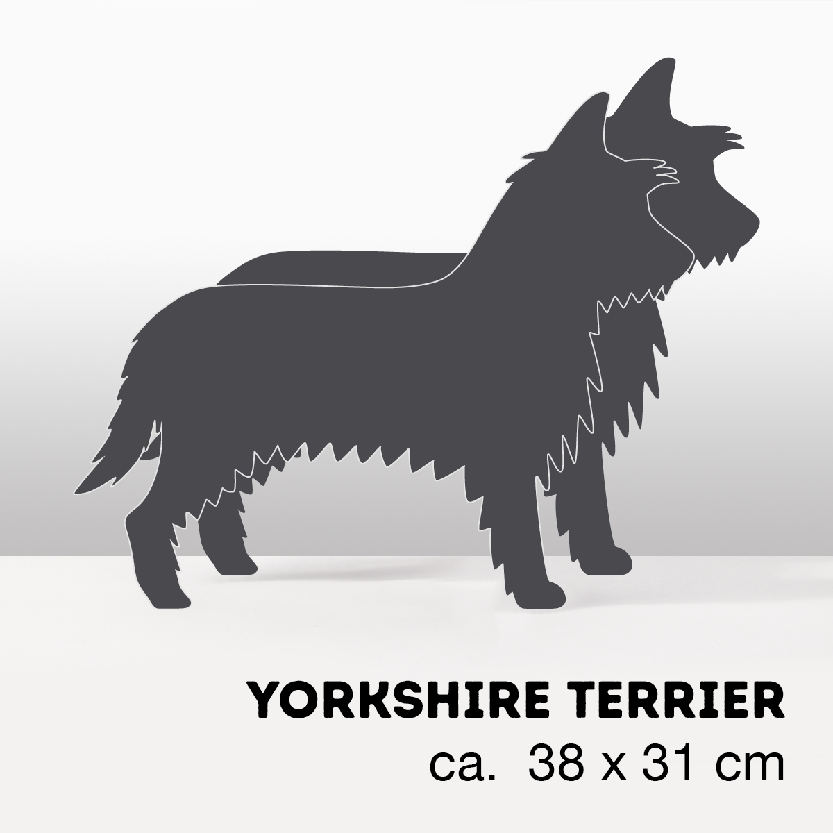 PflanzHunde LIMITED EDITION