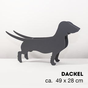 Plant dachshund LIMITED EDITION