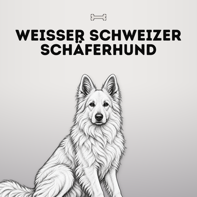 Kollektionsbild Weißer Schweizer Schäferhund