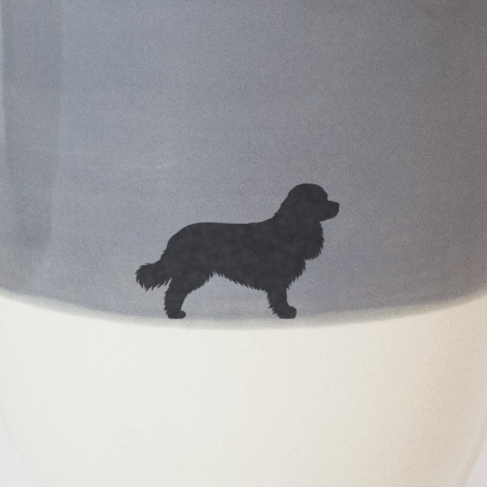 Big Basic-Set Lieblingshund Dusty