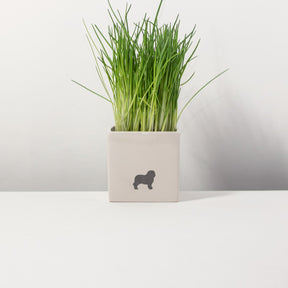 Blumentopf Lieblingshund