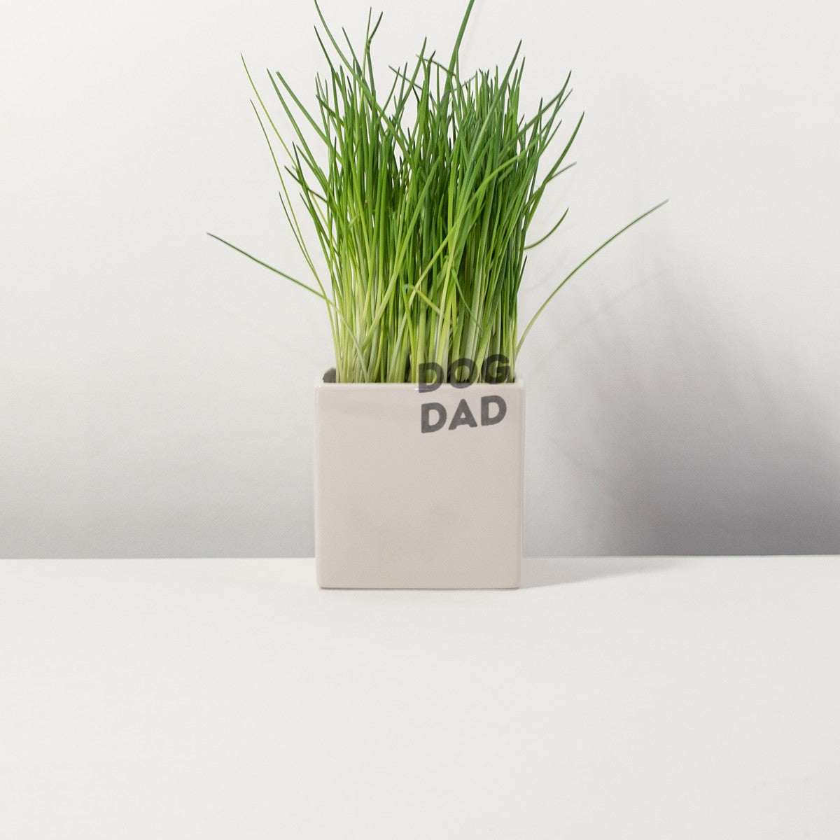 Blumentopf Lieblingshund