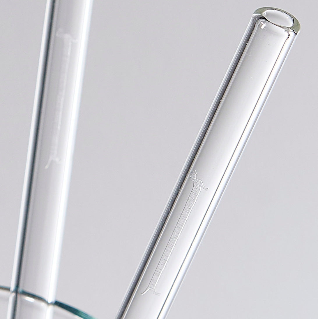 Glastrinkhalme Langdackel 2er Set